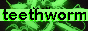 Teethworm button.