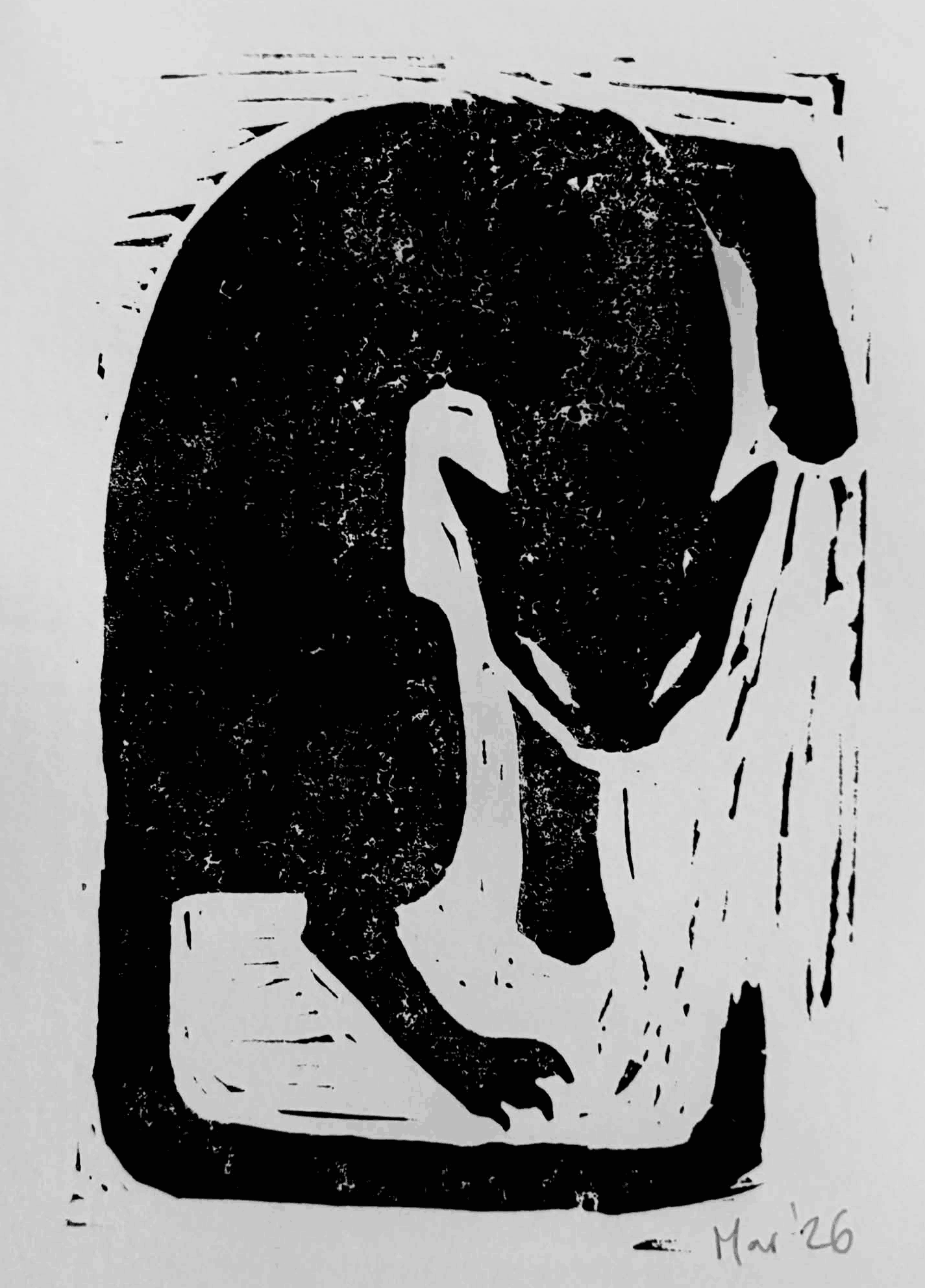 Cat Print