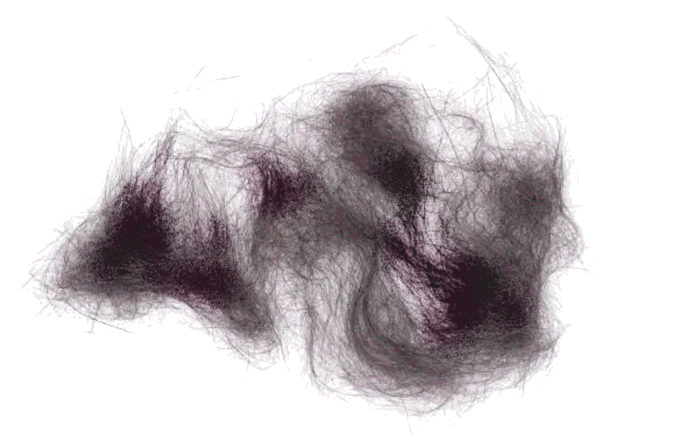 Photograph of a biological sample taken at the scene. The sample of 'hair' or 'fur' has been darkened with blood.